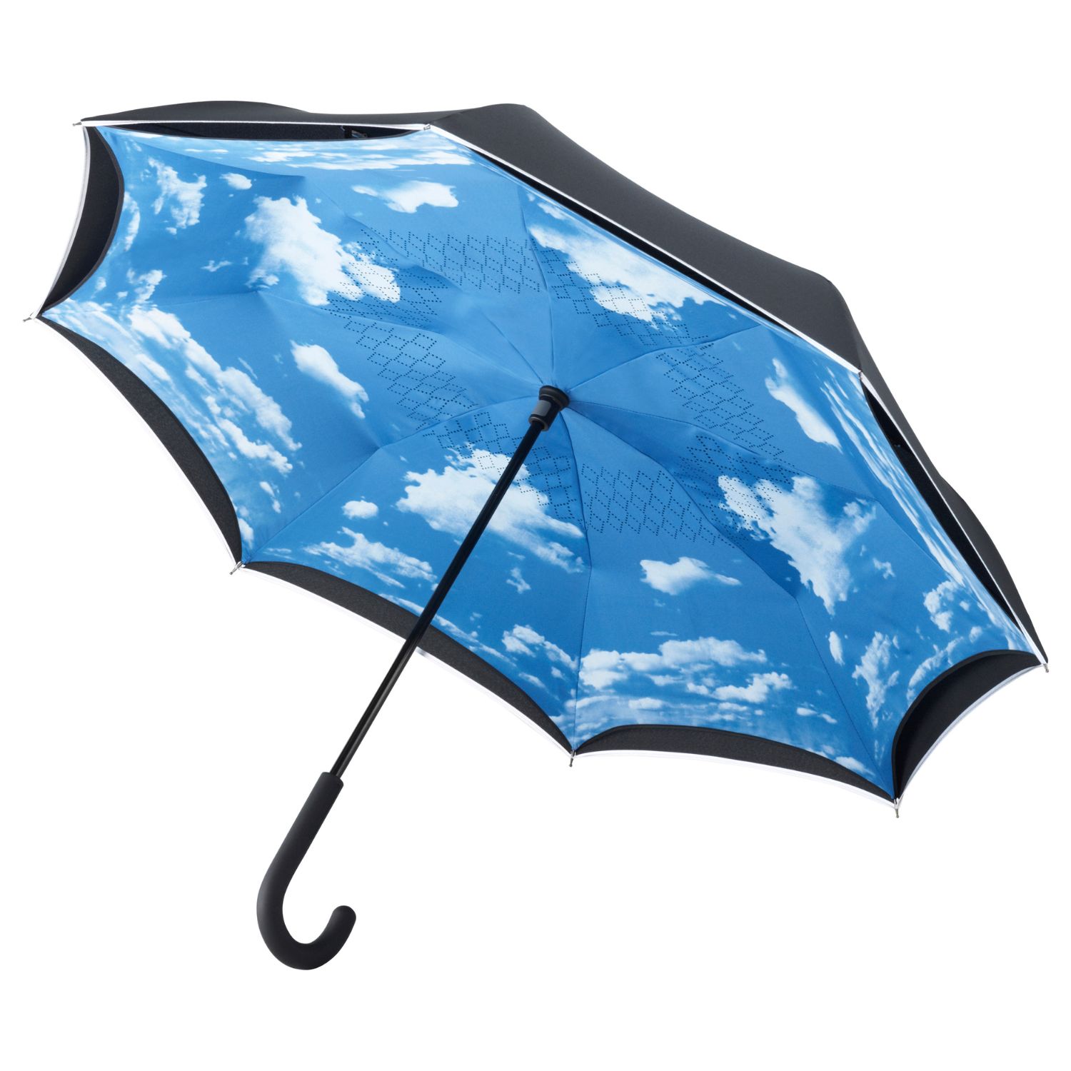 Sketis-Contrary-Zydra-1.jpg Žydra