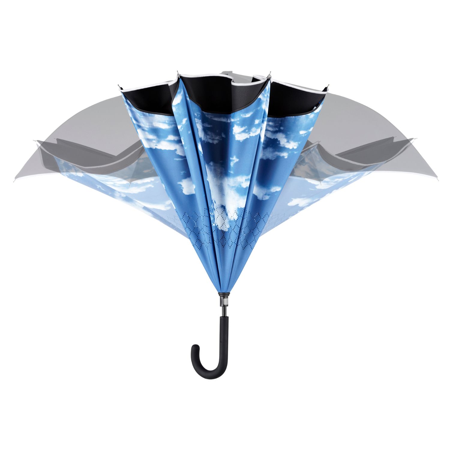 Sketis-Contrary-Zydra-5.jpg Žydra