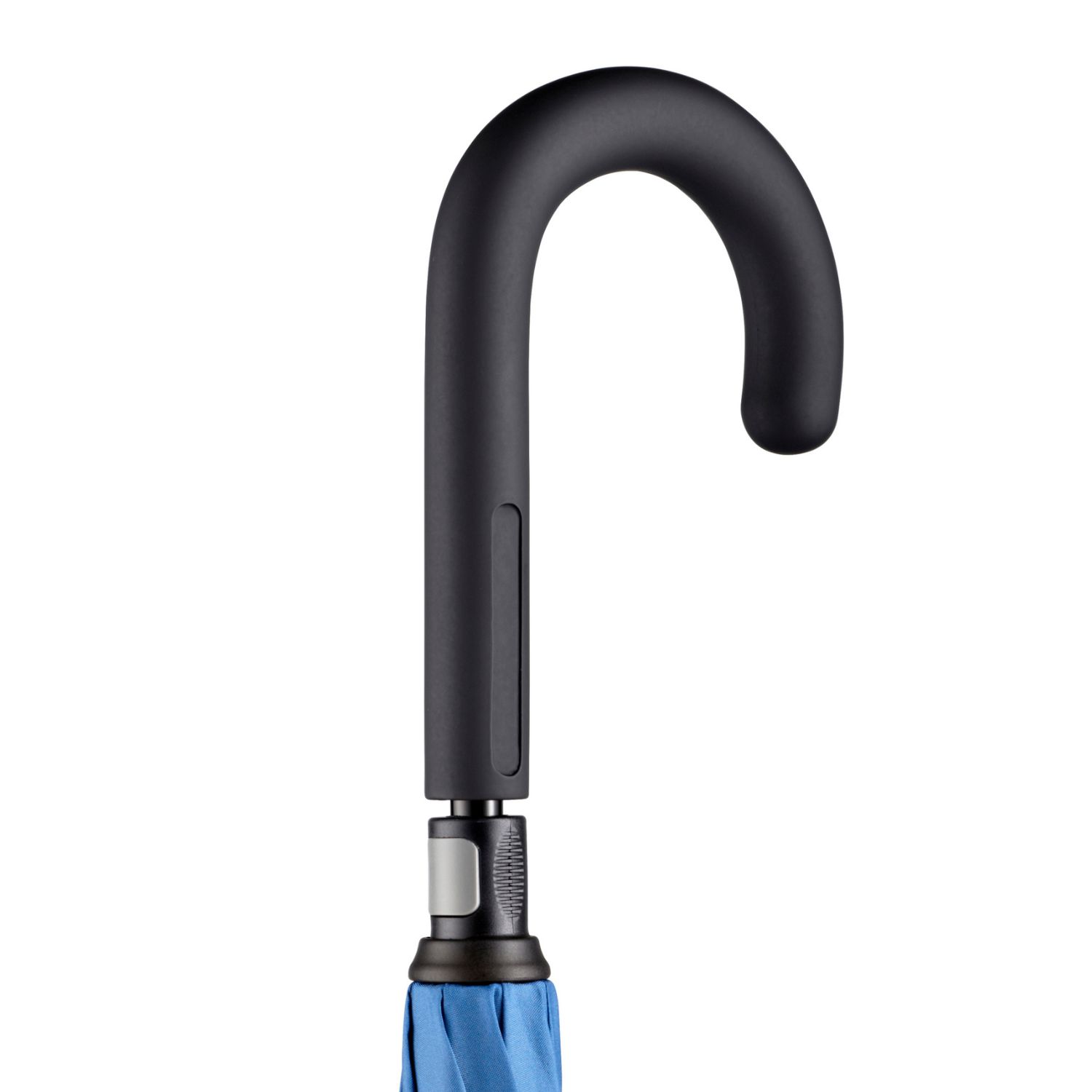 Sketis-Contrary-Zydra-9.jpg Žydra