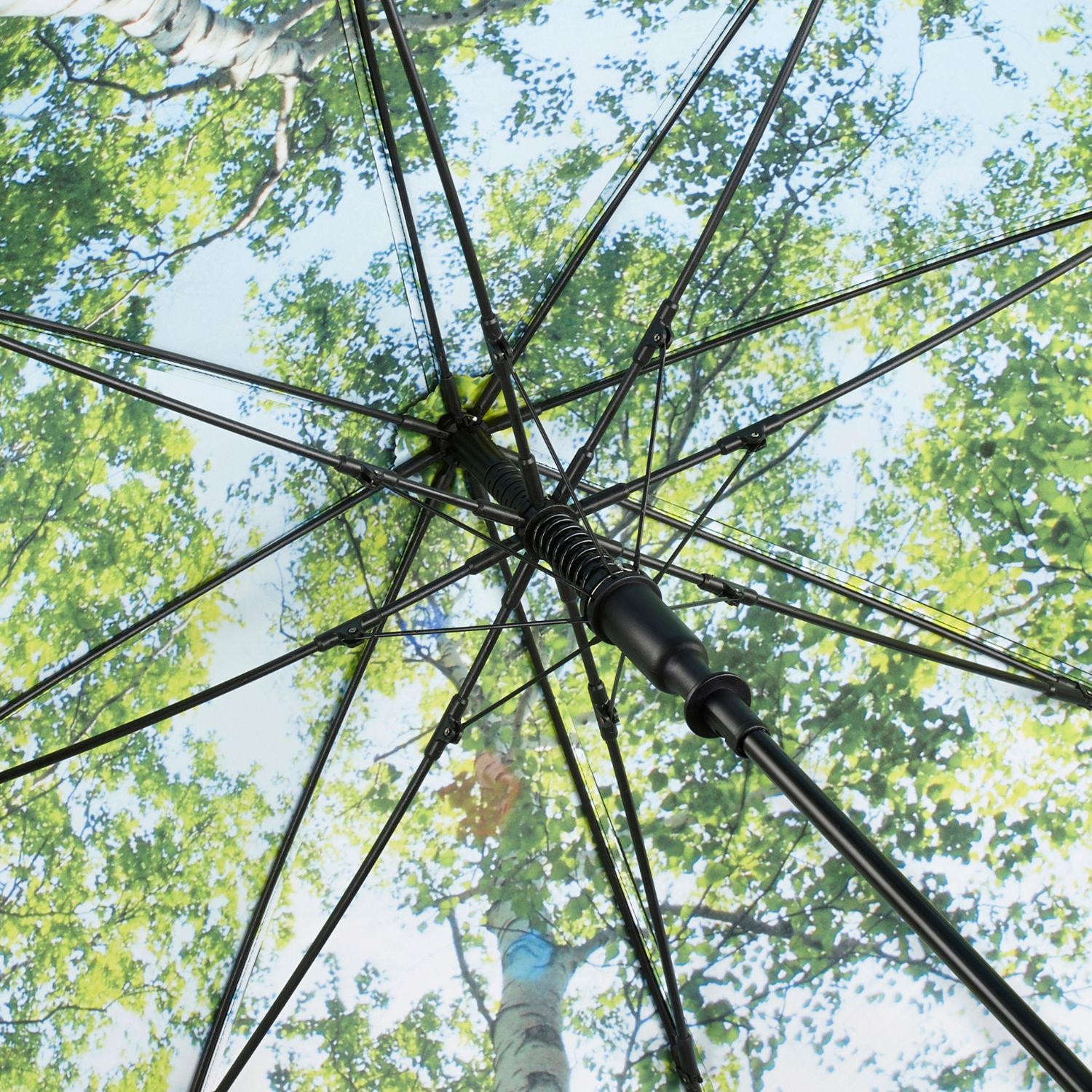 Sketis-Impressions-Laimo-zalia-2.jpg Laimo žalia