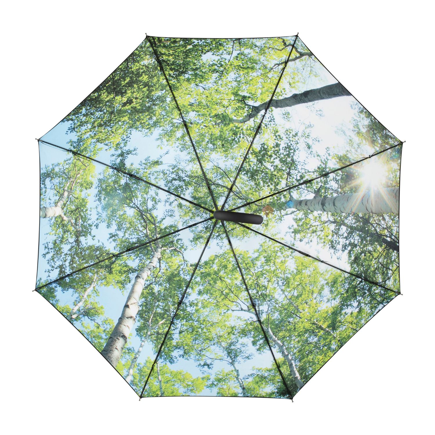 Sketis-Impressions-Laimo-zalia-3.jpg Laimo žalia