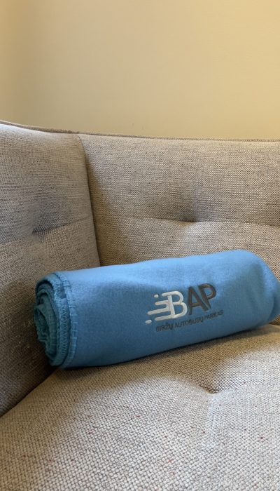 Siuvinejimas-ant-pledu